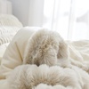 image:imageComa Inducer Chunky Bunny Peak of Cozy Twin XL Oversized Comforter Beige  Experience Coma Worthy Sleep with Plush Faux Fur Extra Large BeddingTwin XL