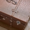 image:imageDormCo Texture Brand Trunk  Coco Tawny Ostrich