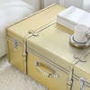image:imageDormCo Texture Brand Trunk  Gold Raindrops