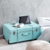 image:imageDormCo Texture Brand Trunk  Vibrant Aqua Ostrich